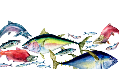 Banner of various sea fish swimming watercolor illustration isolated on white. Wild fish, tuna, salmon, herring, anchovy hand drawn. Design element for cookbook, signboard, menu, market, packaging