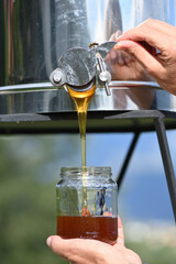 Honey Extraction