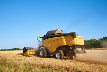 Combine harvester harvesting golden wheat field, harvester working in an agricultural field, harvest season