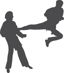 Taekwondo kick  2023012807