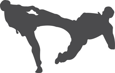 Taekwondo kick silhouette  2023012810