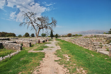 Fototapeta na wymiar Taxila, Sirkap ruins of fortified city, Pakistan