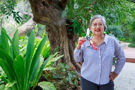 Asian Senior Woman Carrying Big Scissors On Shoulder In Beautiful Garden