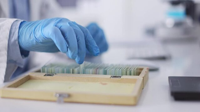 Microscope slides, science and hands with gloves working on dna research, test or analysis in laboratory. Healthcare scientist, microbiology and sample on glass of particles, molecules and virus data