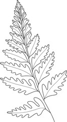 Fototapeta na wymiar Hand drawn leaf branch line art