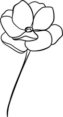 Hand drawn flower line art