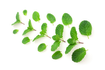 Mint leaves pattern isolated on white background , top view , flat lay.