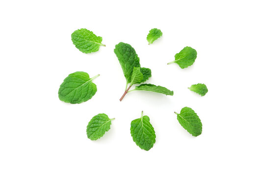 Mint leaves pattern isolated on white background , top view , flat lay.