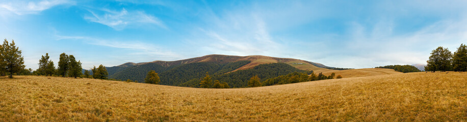 Autumn Carpathian Mountains (Ukraine) landscape .