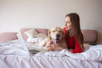 young girl lies on bed with a golden retriever dog and uses laptop, female freelancer with a pet looks at the computer