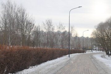 Winter alley, snowy alley in the park.