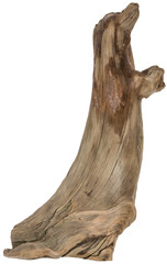 Piece of a root / trunk with many thin branches, river wood, driftwood, aquarium design element - isolated on transparent background - png - image compositing footage - alpha channel 