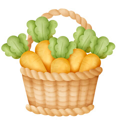 Basket with carrots