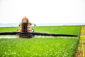 Pesticide and fungicide application in wheat fields, tractor spraying crops to control pests and...