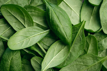 Fresh green baby spinach leaves, natural background.