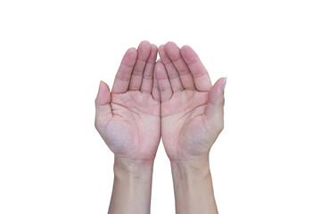 Two open hand isolated on transparent background PNG file