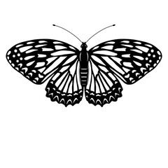 Fototapeta na wymiar Black abstract butterfly outline.