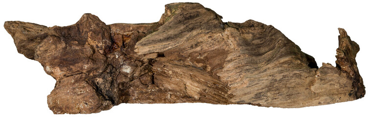 Piece of a root / trunk with many thin branches, river wood, driftwood, aquarium design element - isolated on transparent background - png - image compositing footage - alpha channel  - obrazy, fototapety, plakaty