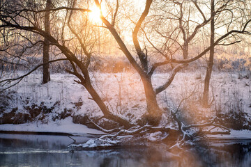 Early spring. Landscape of river and woodland on froze morning. Sunbeams beat through tree branches.