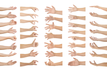 Collection of human hands in multiple gesture on transparent background PNG file