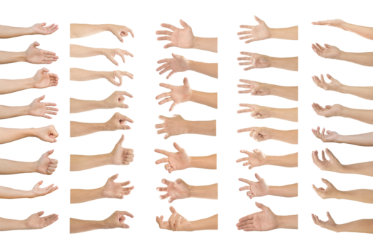 Collection of human hands in multiple gesture on transparent background PNG file