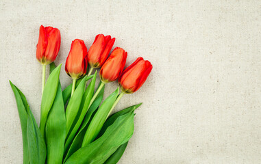 Bouquet of red tulips on a light background, top view.