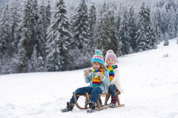 Winter scene with snowy forest. Little boy and girl sledding in winter. Kids sibling riding on snow slides in winter. Son and daughter enjoy a sleigh ride.