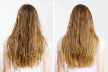 Closeup before-after unhealthy messy hair and clean brush healthy hairtype isolated on white background. Woman problem hair-type back view. Spit ends dry over-brushing hairstyle. Beauty care concept - obrazy, fototapety, plakaty