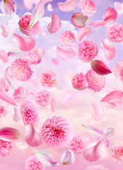 Obraz na płótnie Canvas pink flowers and molecule on pink background