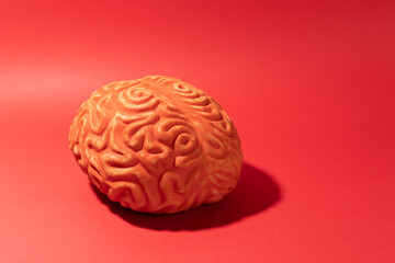 A brain on red background
