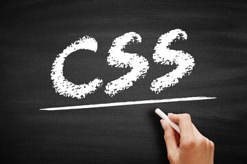 CSS Cascading Style Sheets - language used for describing the presentation of a document written in...