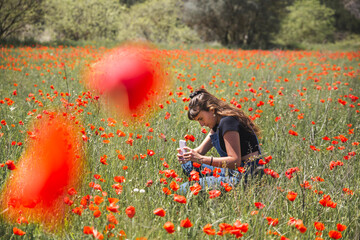 Young woman taking photos of poppy flowers using smart phone in field