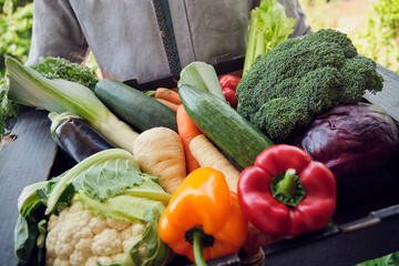 Fresh and organic vegetables in box held by delivery person
