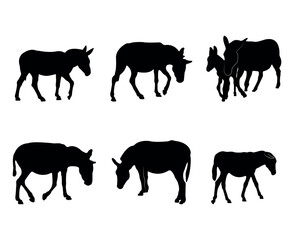 Collection of black silhouettes donkeys