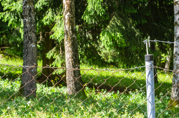 Spuren des Einbruchs: Einbrecher und Diebe haben den oberen Stacheldraht eines Gartenzauns gekappt,...