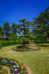 花いっぱのまちづくり　春の高松城玉藻公園（香川県高松市）