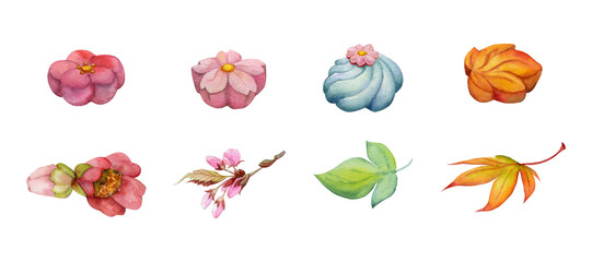 Watercolor hand drawn set of traditional Japanese sweets. Seasonal wagashi, flowers and leaves. Isolated on white background. Design for invitations, restaurant menu, greeting cards, print, textile.