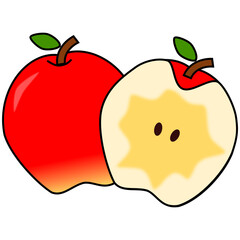 切られたリンゴ