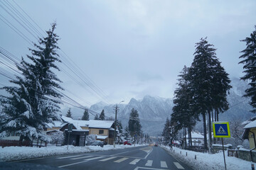 fir trees laden with snow in a mountainous area. detail. winter photography.