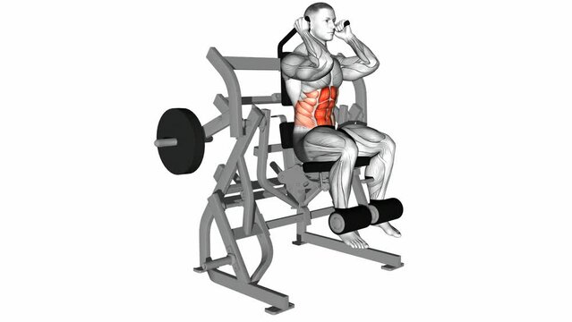 lever seated leg raise crunch exercises