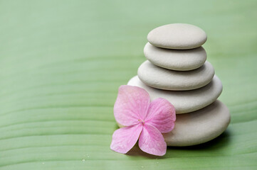Fototapeta na wymiar Stones spa treatment scene, zen like concepts.