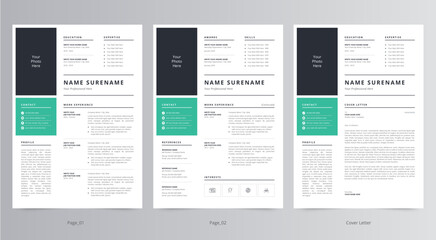 Resume Template, Professional Modern Resume Template, CV Template