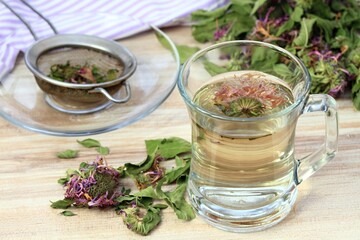 Herbal tea made from dried monarda, lat. Monarda didyma. Fragrant herb is used in tradicional medicine as a medicinal plant from time of Native Americans. Smelling like bergamot.