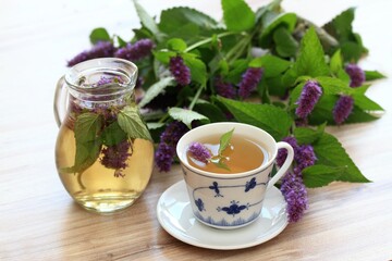 Obraz na płótnie Canvas Herbal tea from medicinal herb Agastache foeniculum, also called giant hyssop or Indian mint. Aromatic agastache tea is good for the stomach and lungs.