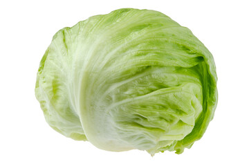 Whole big iceberg lettuce or crisphead lettuce