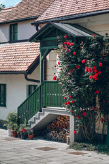 Cute European cottage with a beautiful rose bush. The yard of a cozy house with a tiled roof with a garden. Green stairs with a blooming veranda