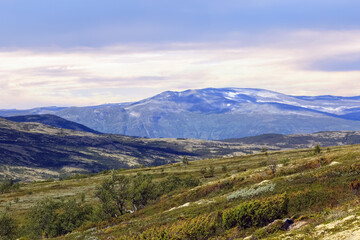 Fototapeta na wymiar Mountains in Innerdalen ( Innset) , Norway