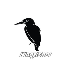 Bird icon , Kingfisher symbol design stock illustration