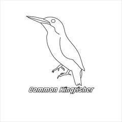 Obraz premium Bird icon, Common Kingfisher symbol design stock illustration