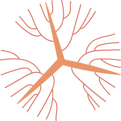 Abstract Tree Top View Illustration.